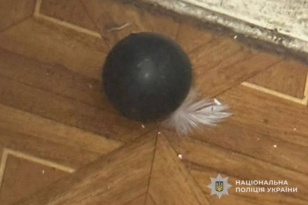 Поліція виявила незаконну зброю