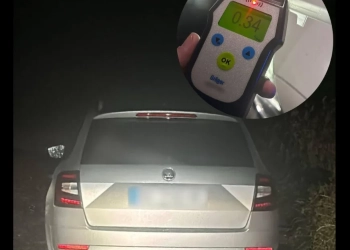 Порушення ПДР на Тернопільщині