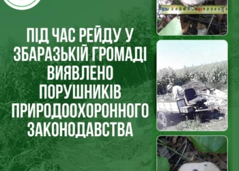 Екологічні порушення на Збаражчині