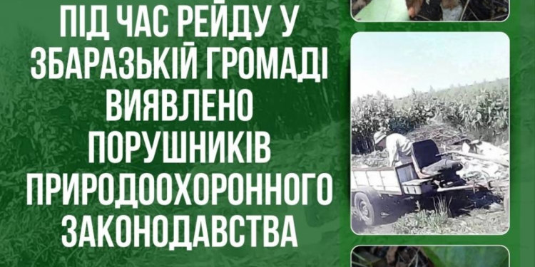 Екологічні порушення на Збаражчині