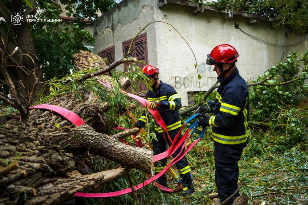Негода повалила дерева