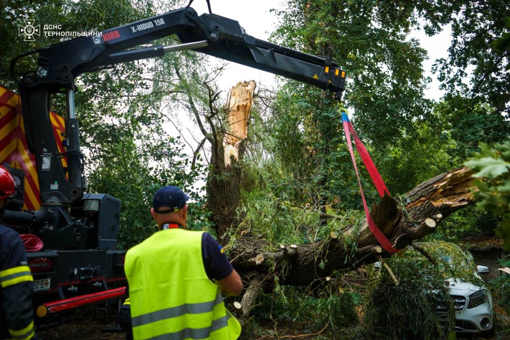 Негода повалила дерева
