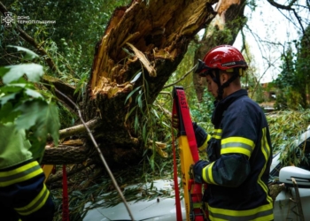 Негода повалила дерева