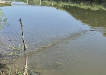 На Тернопільщині викрили браконьєрів