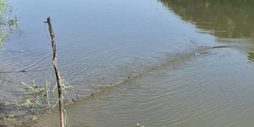 На Тернопільщині викрили браконьєрів