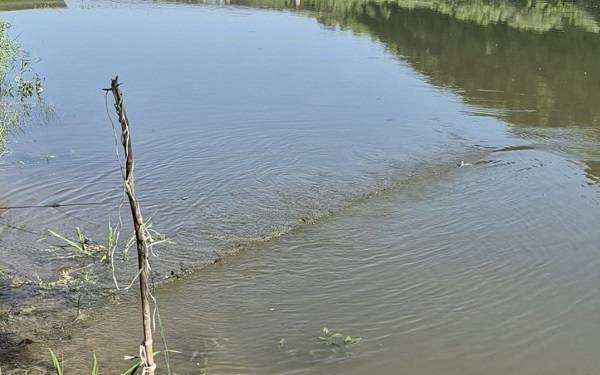 На Тернопільщині викрили браконьєрів