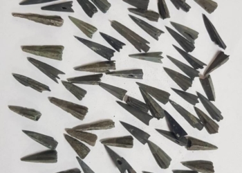 Нові експонати музею