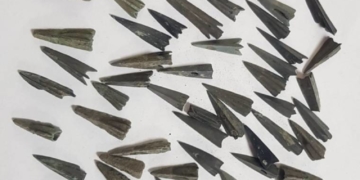 Нові експонати музею