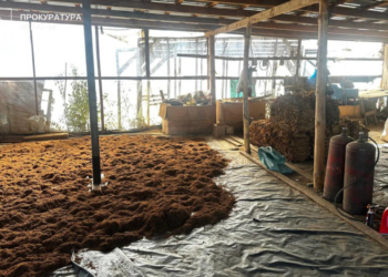 Незаконне вироблення тютюну