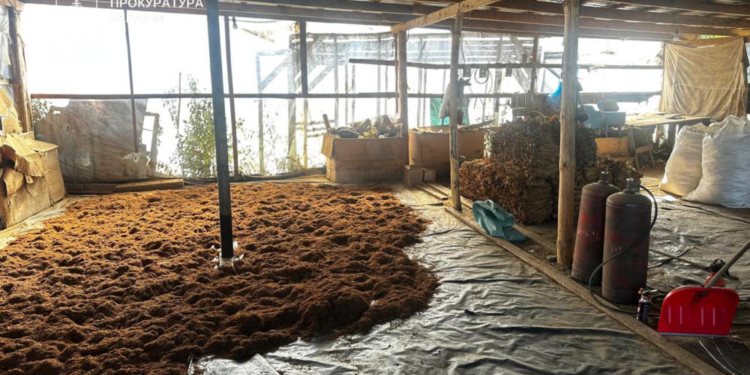 Незаконне вироблення тютюну