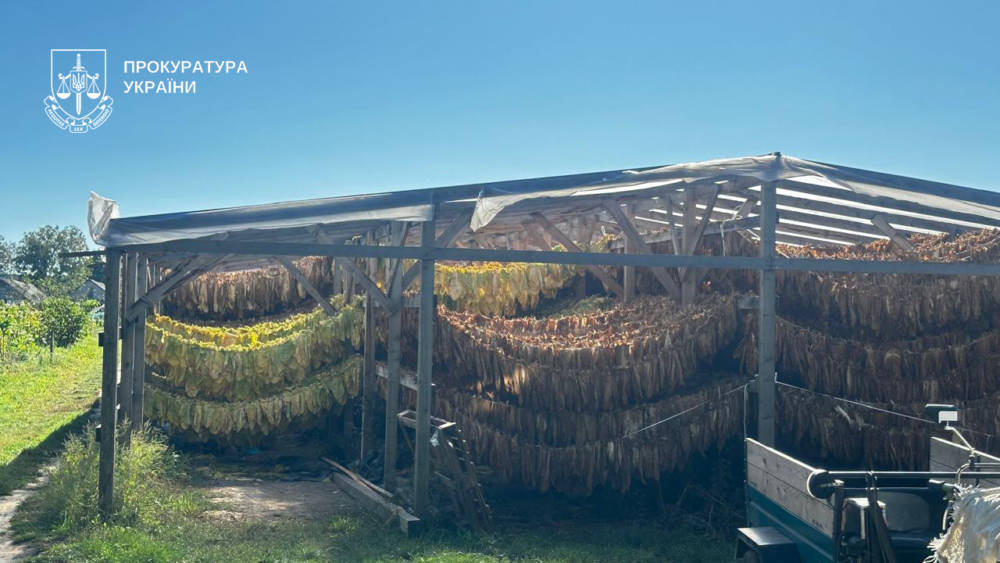 Незаконне вироблення тютюну