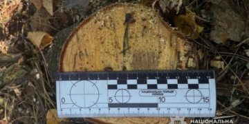 Незаконна порубка лісу