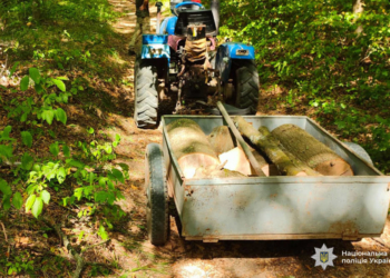 Незаконна вирубка на Тернопільщині
