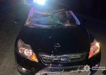 ДТП на Тернопільщині