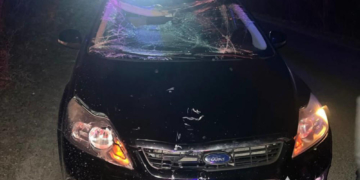 ДТП на Тернопільщині