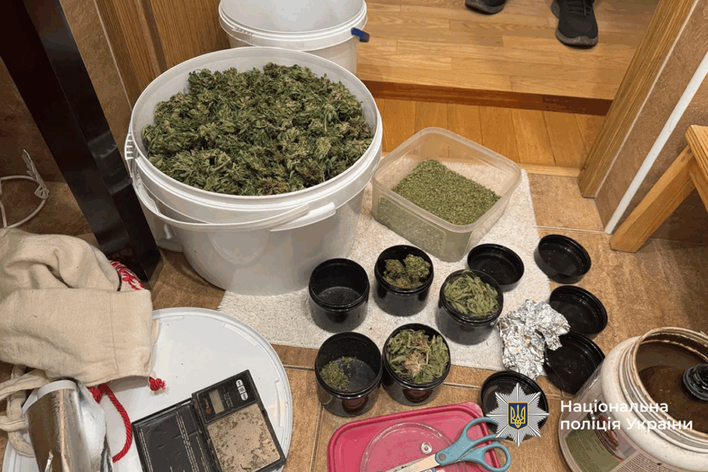 Поліція виявила злочинну групу