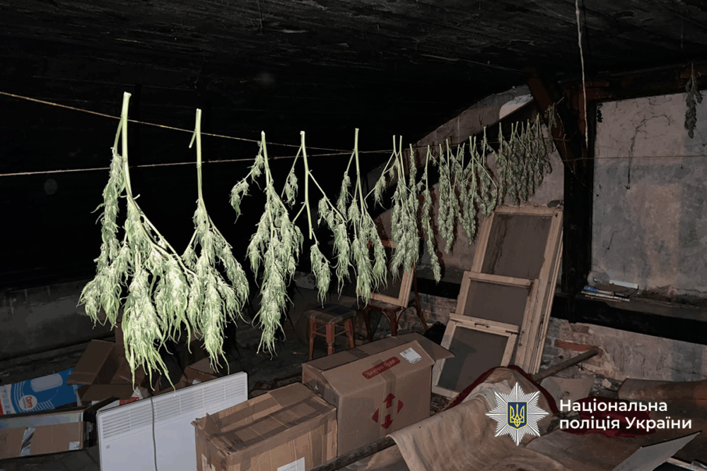 Поліція виявила злочинну групу