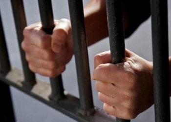 Чоловік викрав телефон