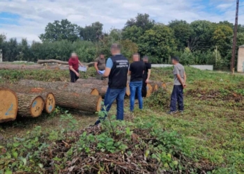 Незаконна порубка дерев