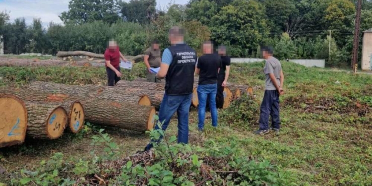 Незаконна порубка дерев