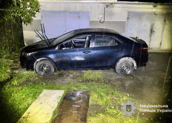 Поліція затримала крадія