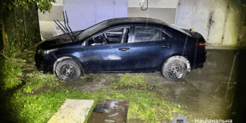 Поліція затримала крадія