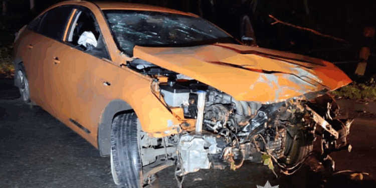 Смертельна ДТП на Тернопільщині