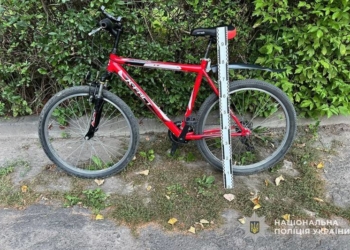 Велосипедист збив пенсіонерку