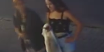 Поліція розшукує злодійок