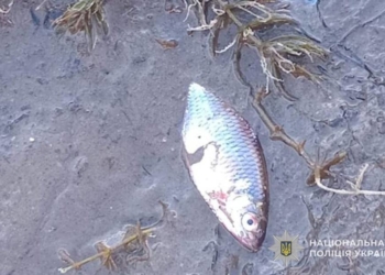 Загибель риби