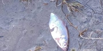 Загибель риби