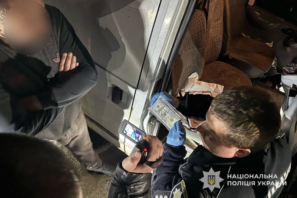 Незаконна вирубка на Тернопільщині