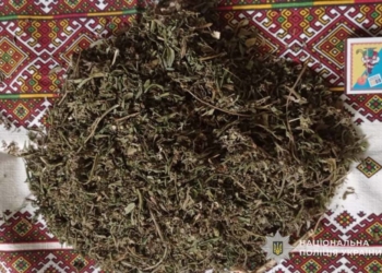Поліція виявила наркотики на Тернопільщині