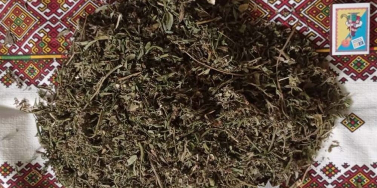 Поліція виявила наркотики на Тернопільщині