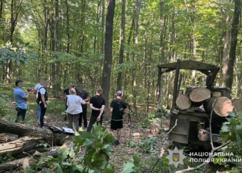 Незаконна вирубка на Тернопільщині