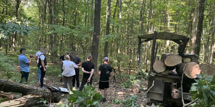 Незаконна вирубка на Тернопільщині