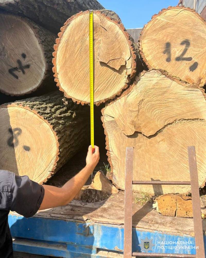 Незаконна вирубка на Тернопільщині