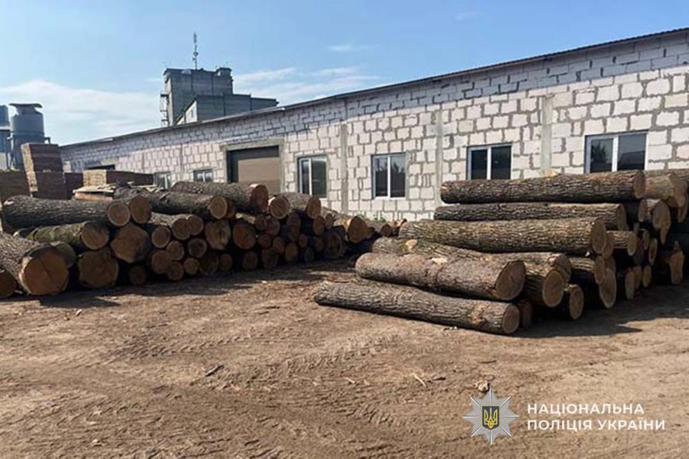 Незаконна вирубка на Тернопільщині