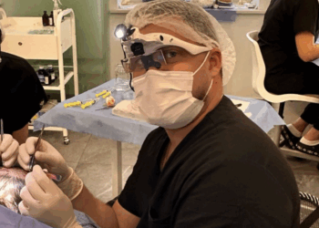 Дивак трансплантація волосся