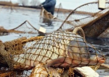 зимувальні ями