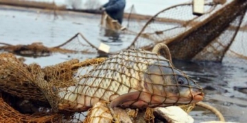 зимувальні ями