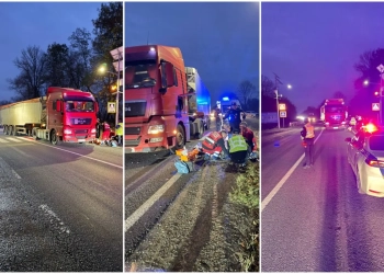 Подробиці автотрощі на трасі Тернопіль – Львів