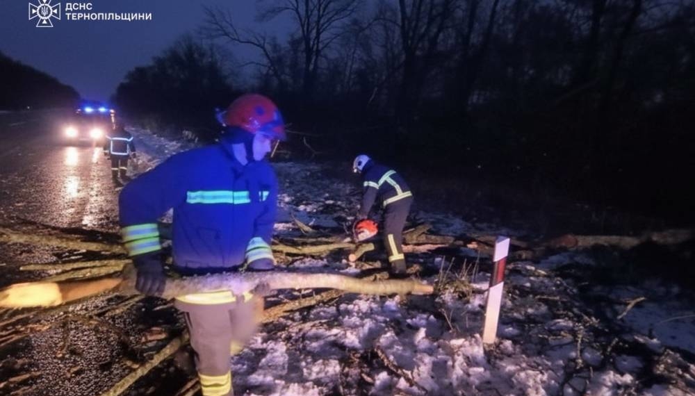 Рятувальники допомагали мешканцям боротися із негодою