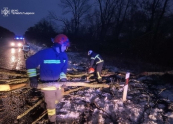 Рятувальники допомагали мешканцям боротися із негодою