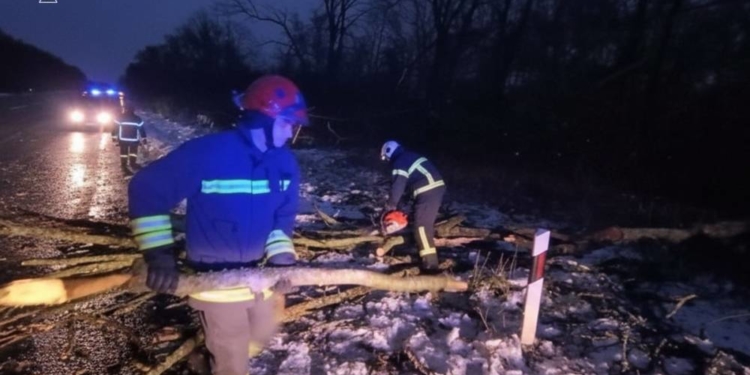 Рятувальники допомагали мешканцям боротися із негодою