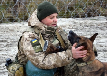 Історія прикордонника та його вівчарки Мамби