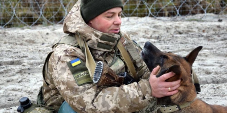 Історія прикордонника та його вівчарки Мамби