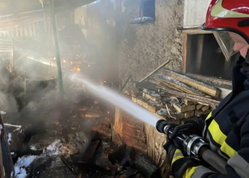 На Тернопільщині у пожежі загинула власниця будинку