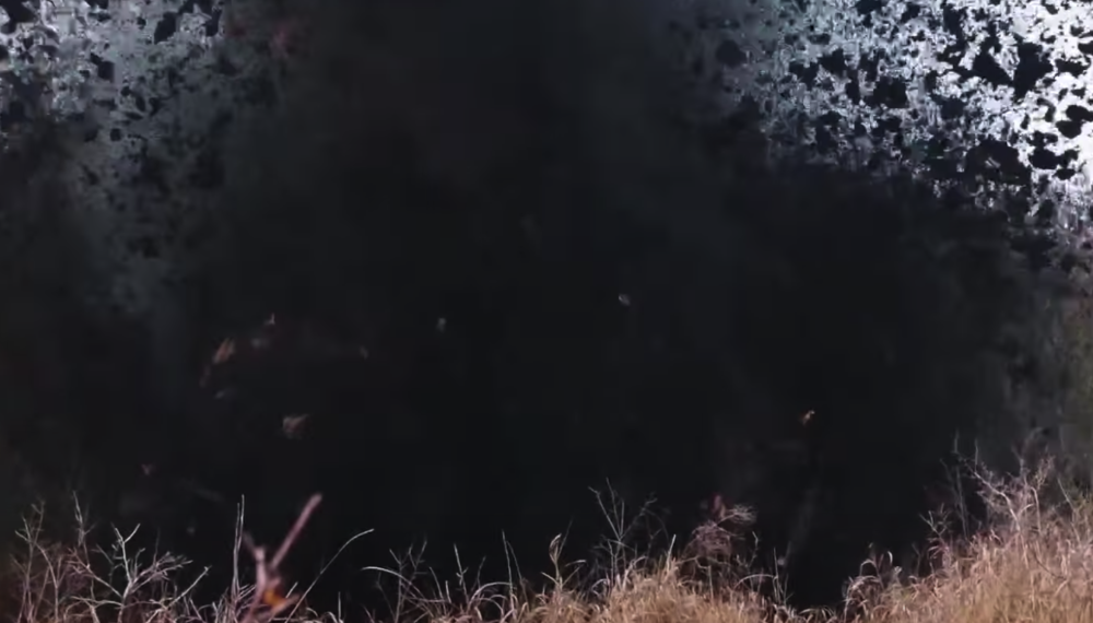 Твоя підготовка — твоя перевага! Навчальна програма 156-ї окремої механізованої бригади – це інтенсивний курс для тебе