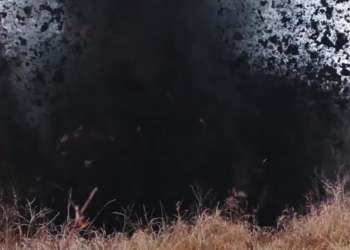 Твоя підготовка — твоя перевага! Навчальна програма 156-ї окремої механізованої бригади – це інтенсивний курс для тебе